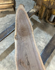 Black Walnut Slab