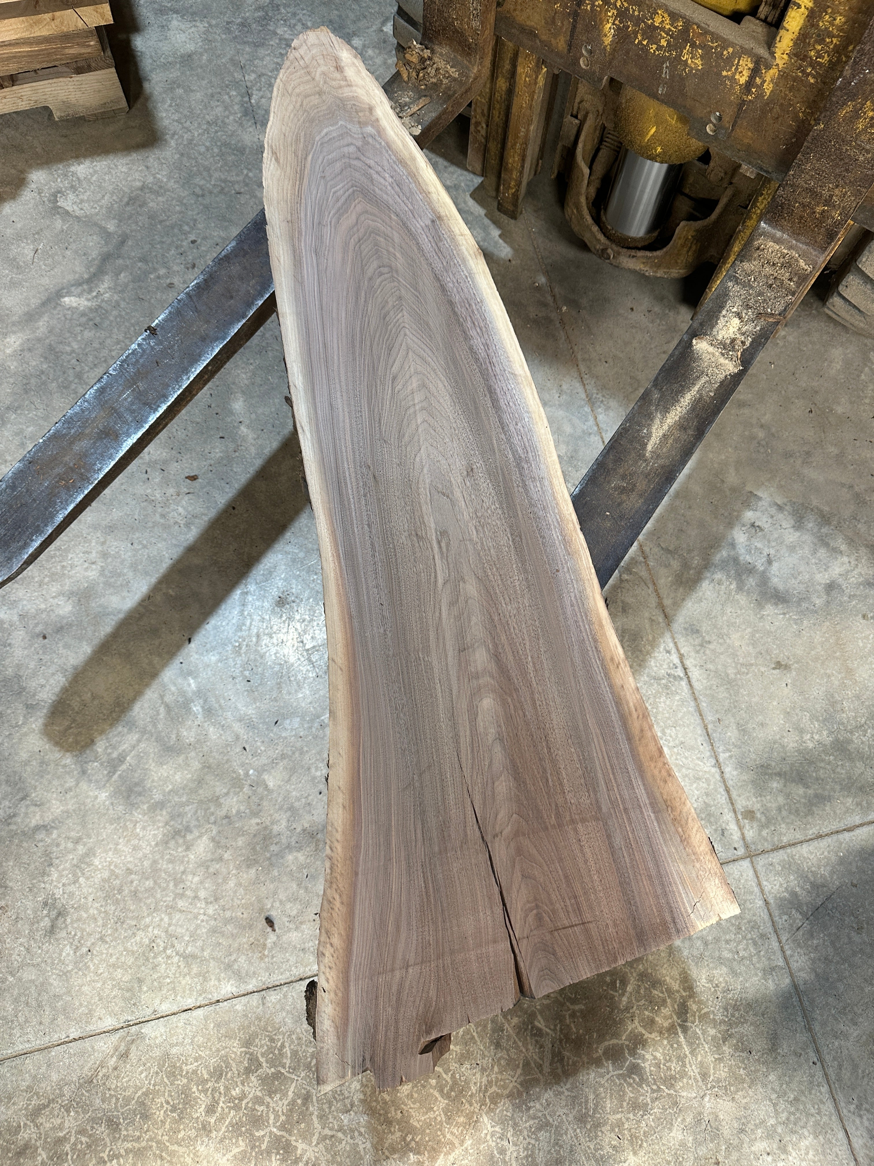 Black Walnut Slab