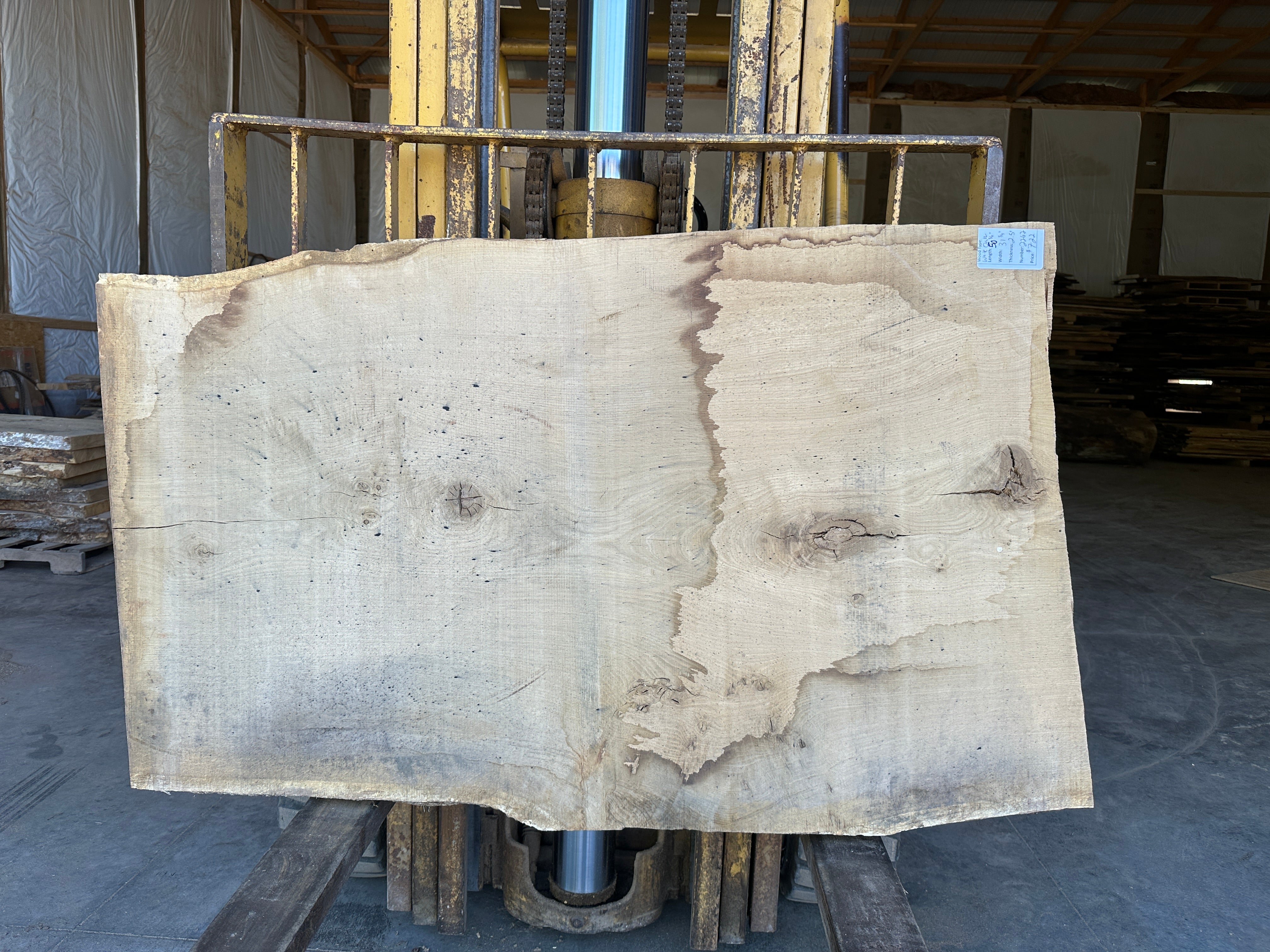 White Oak Slab