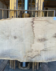 White Oak Slab