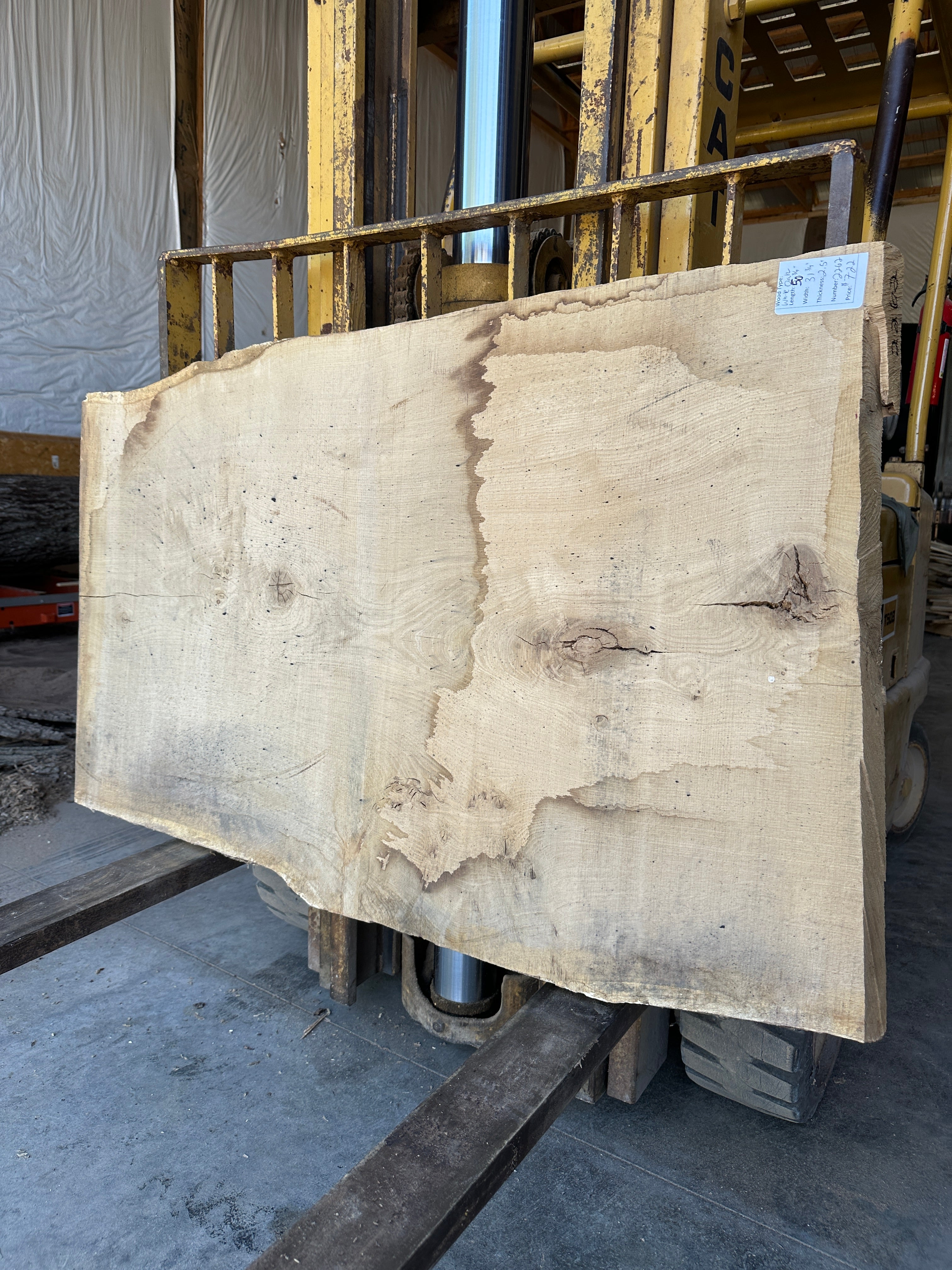 White Oak Slab
