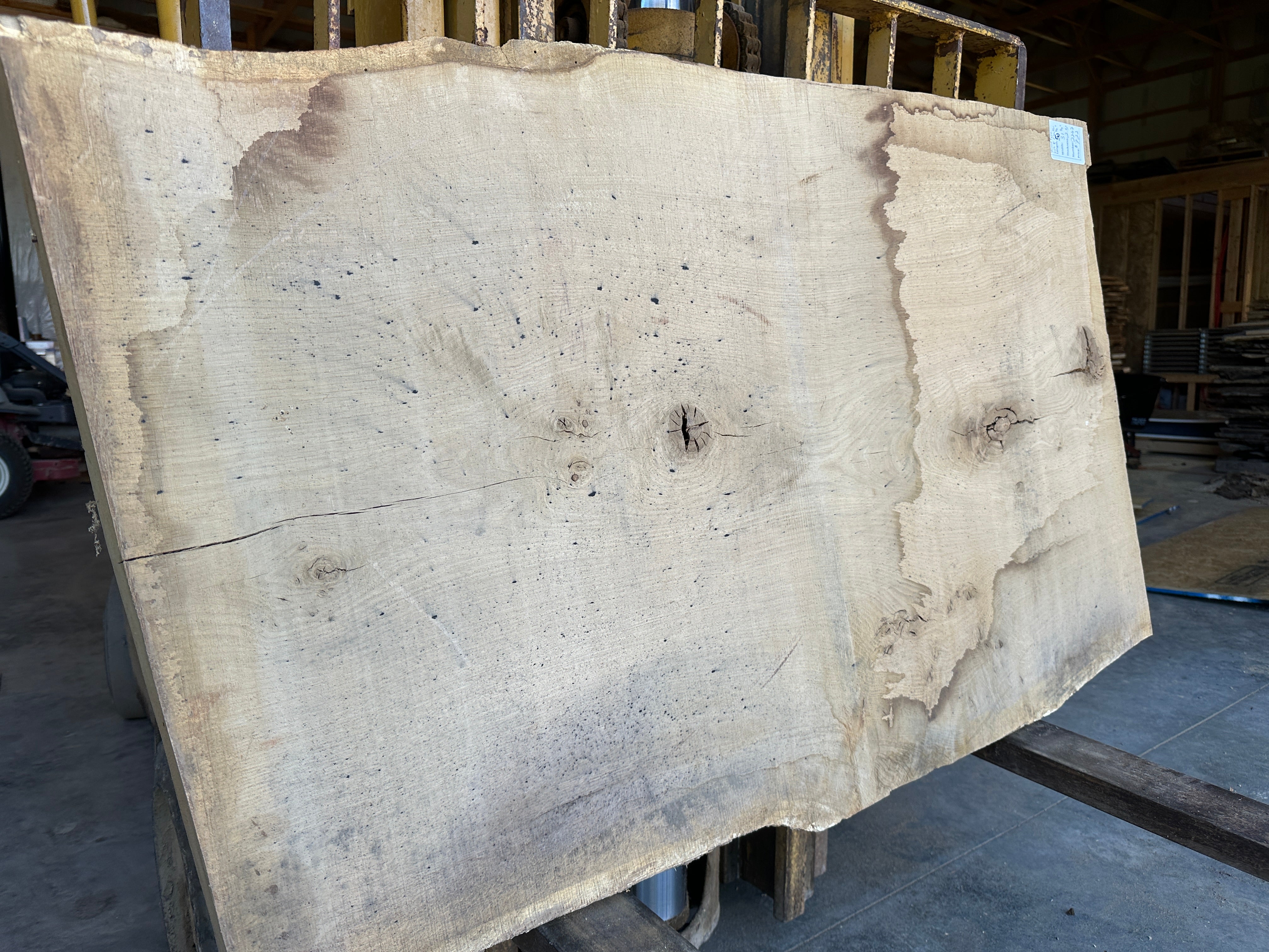 White Oak Slab