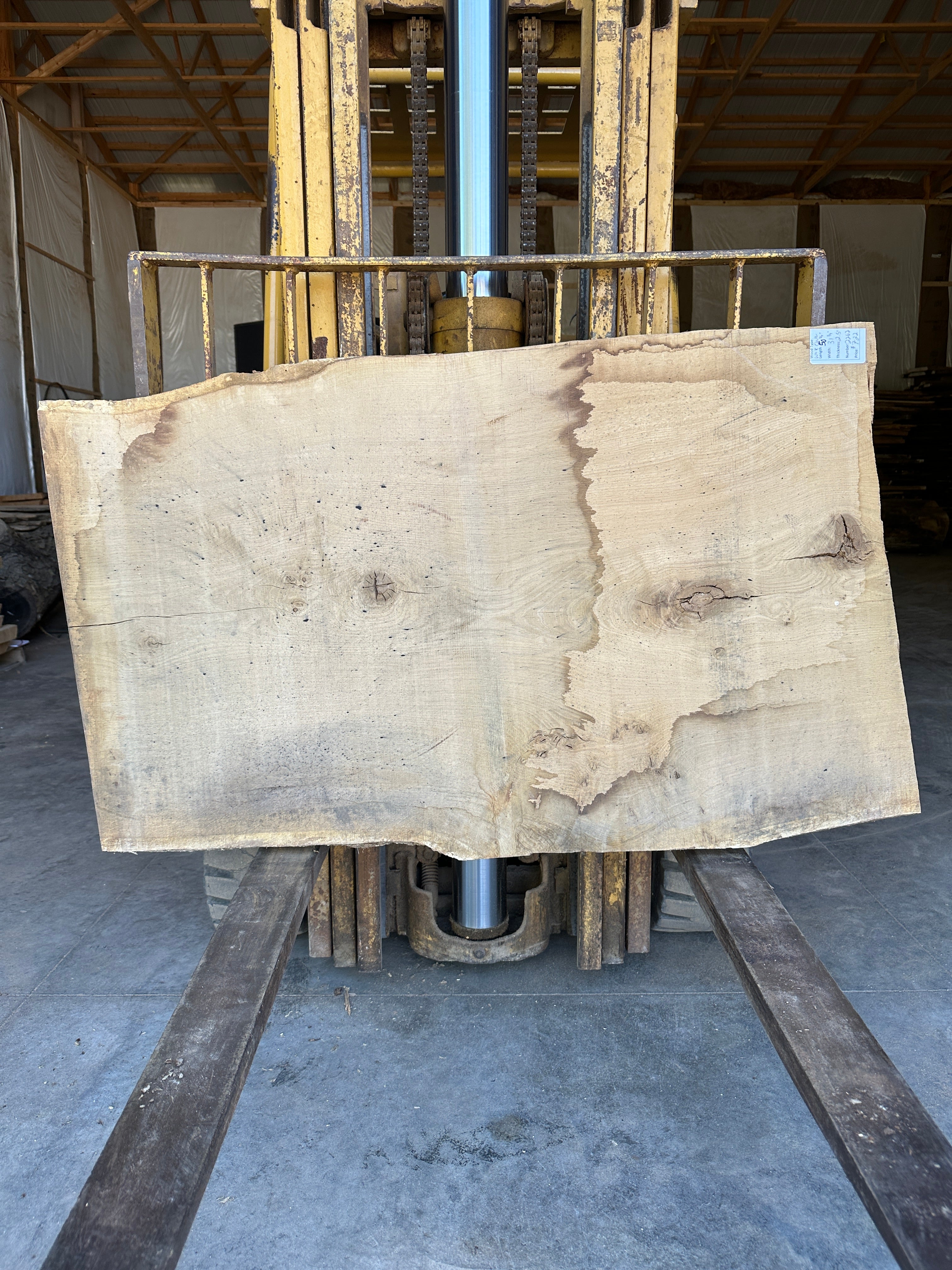 White Oak Slab