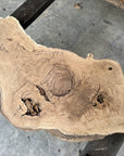 White oak cookie slab