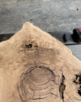 White oak cookie slab