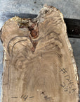 White Oak cookie slab