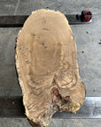 White Oak cookie slab