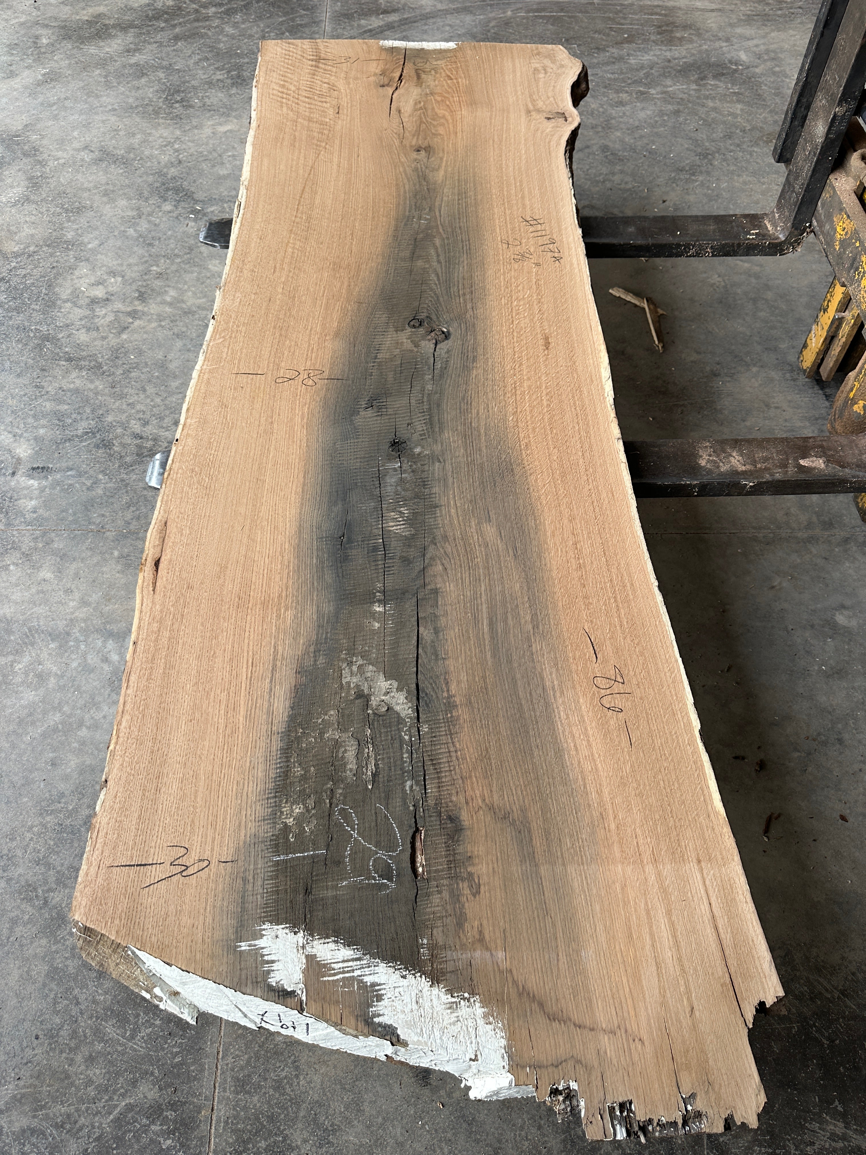White Oak Lumber Slab #1197 BLUE