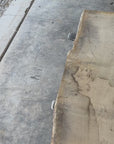 White Oak Slab