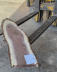 Black Walnut Live-edge slab
