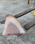Black Walnut