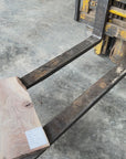 Black Walnut
