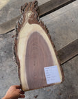 Black Walnut Live-edge slab