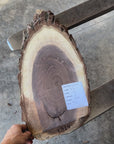 Black Walnut Live-edge slab