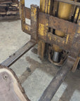Black Walnut Slab