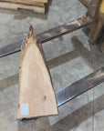 White Ash slab