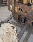 Spalted Hackberry Slab