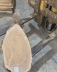 White Ash slab