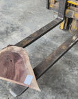 Black Walnut
