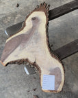 Black Walnut Live-edge slab