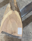 White Ash slab