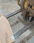 White Ash slab