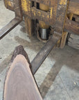 Black Walnut Slab