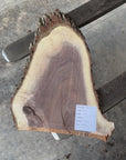 Black Walnut Live-edge slab