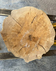 Elm cookie live-edge slab