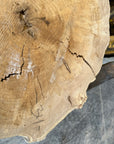 Elm cookie live-edge slab