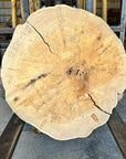 Elm cookie live-edge slab