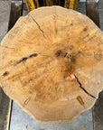 Elm cookie live-edge slab