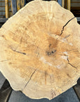 Elm cookie live-edge slab
