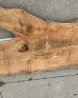 White Oak Lumber Slab Wood Sawmill, mill, lumber, live edge slabs, mantles, floating shelves, wood, logs, log buyer