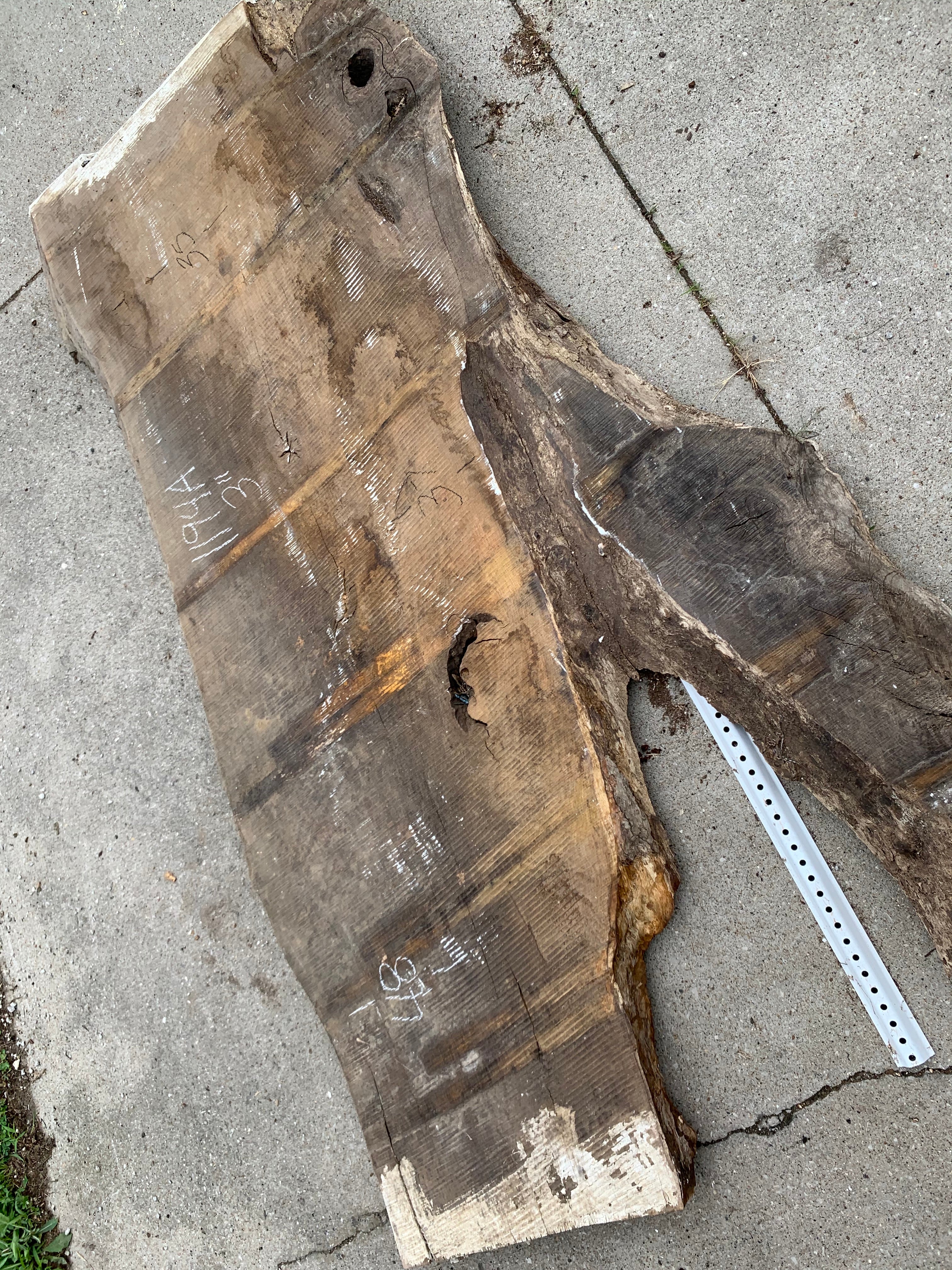 White Oak Lumber Slab Wood