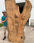 White Oak Lumber Slab Wood Sawmill, mill, lumber, live edge slabs, mantles, floating shelves, wood, logs, log buyer