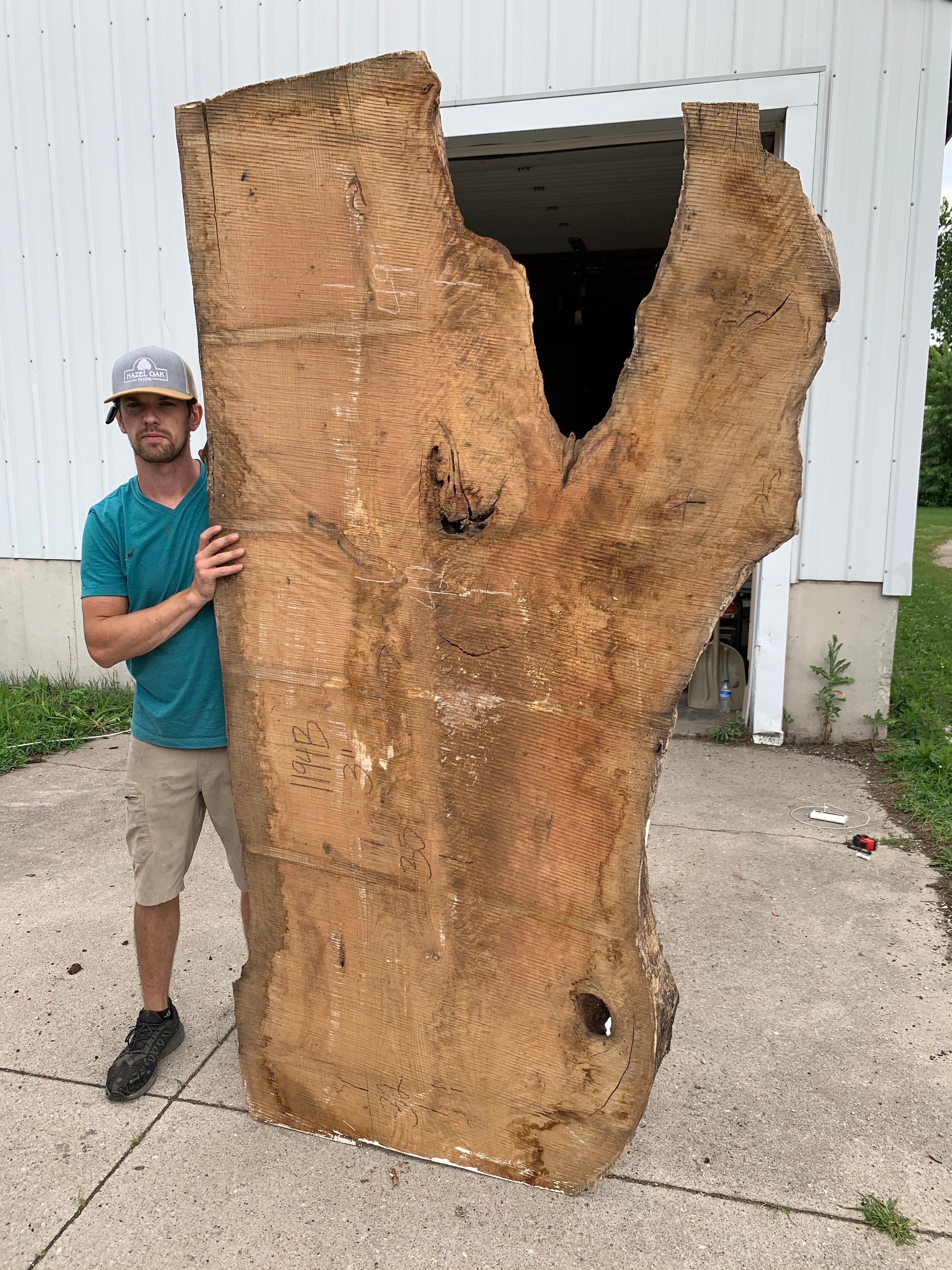 White Oak Lumber Slab Wood