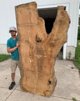White Oak Lumber Slab Wood