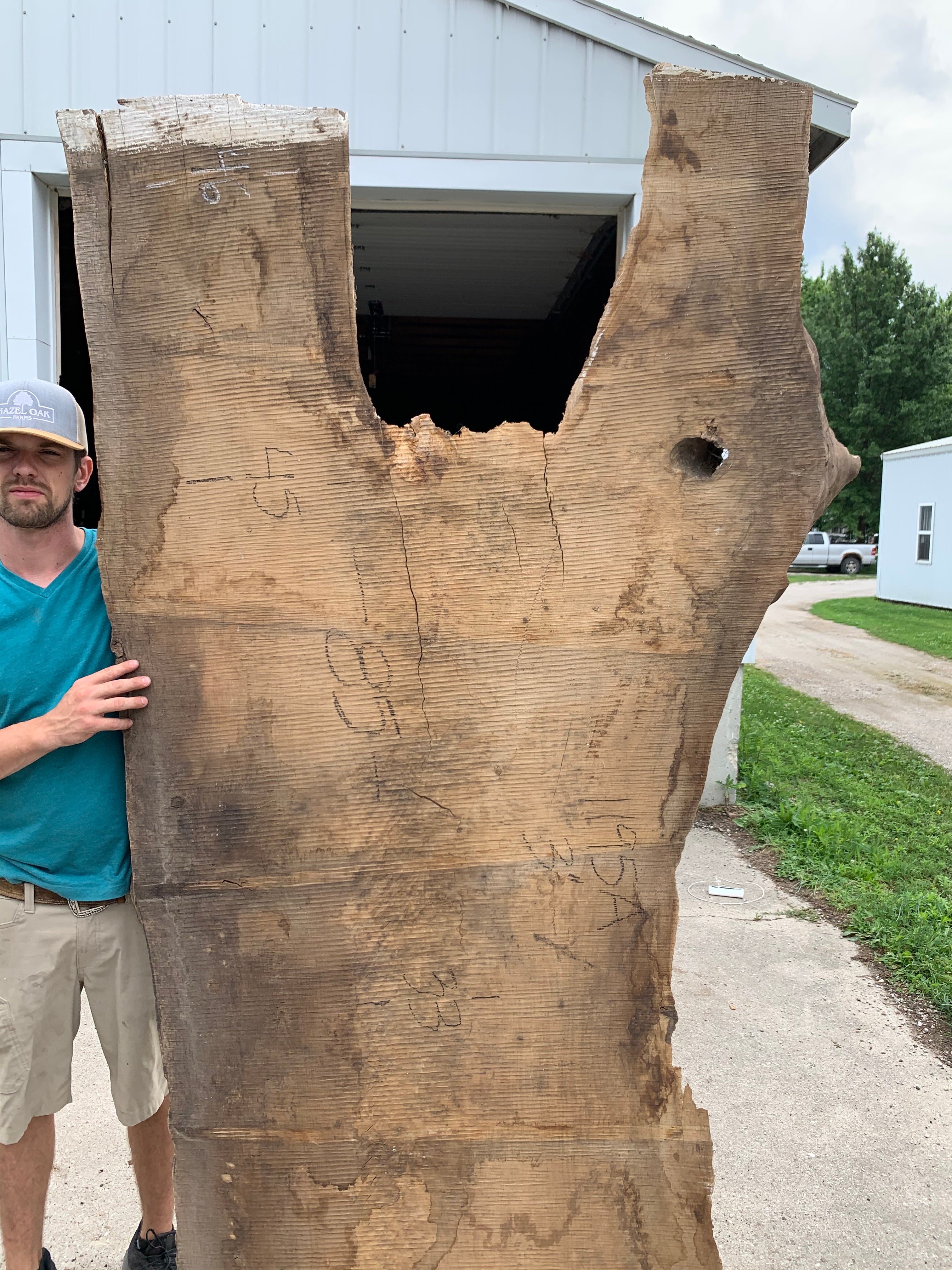 White Oak Lumber Slab Wood