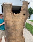 White Oak Lumber Slab Wood