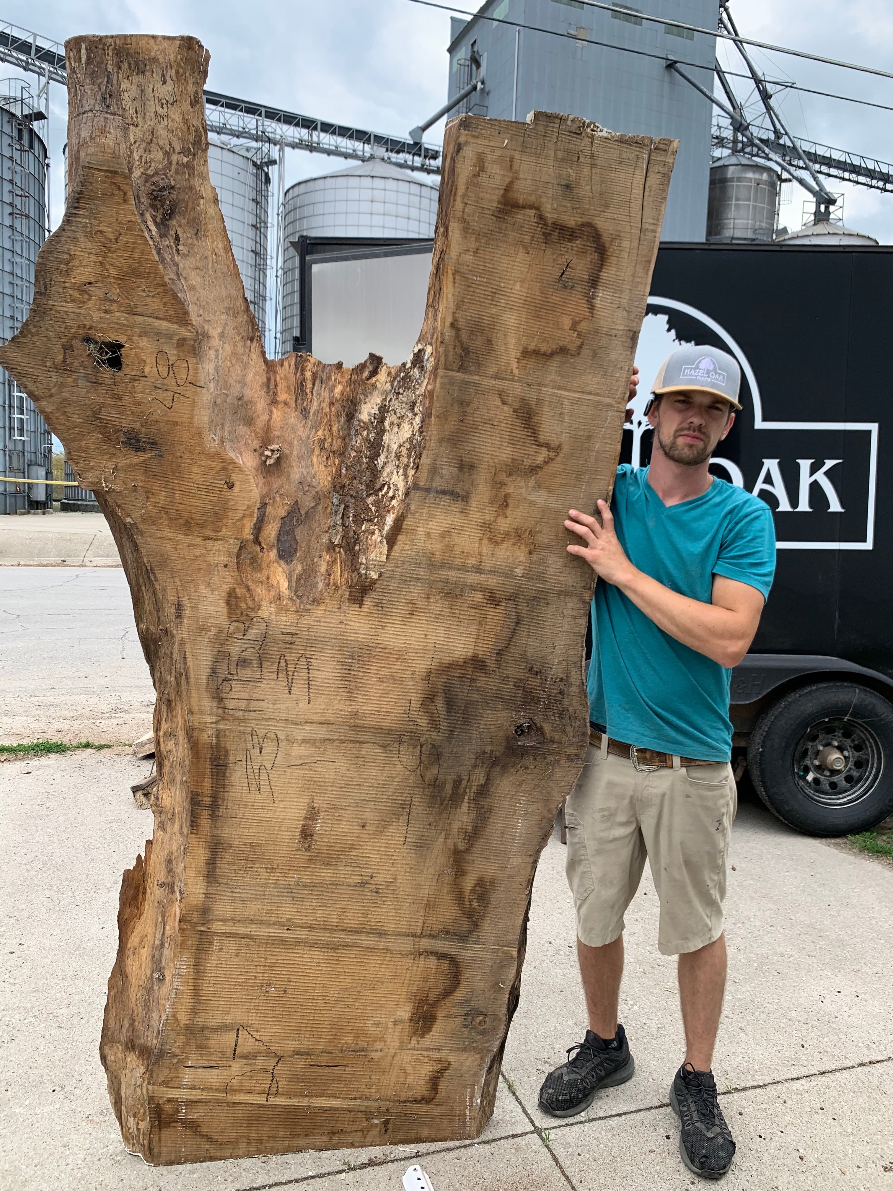 White Oak Lumber Slab Wood