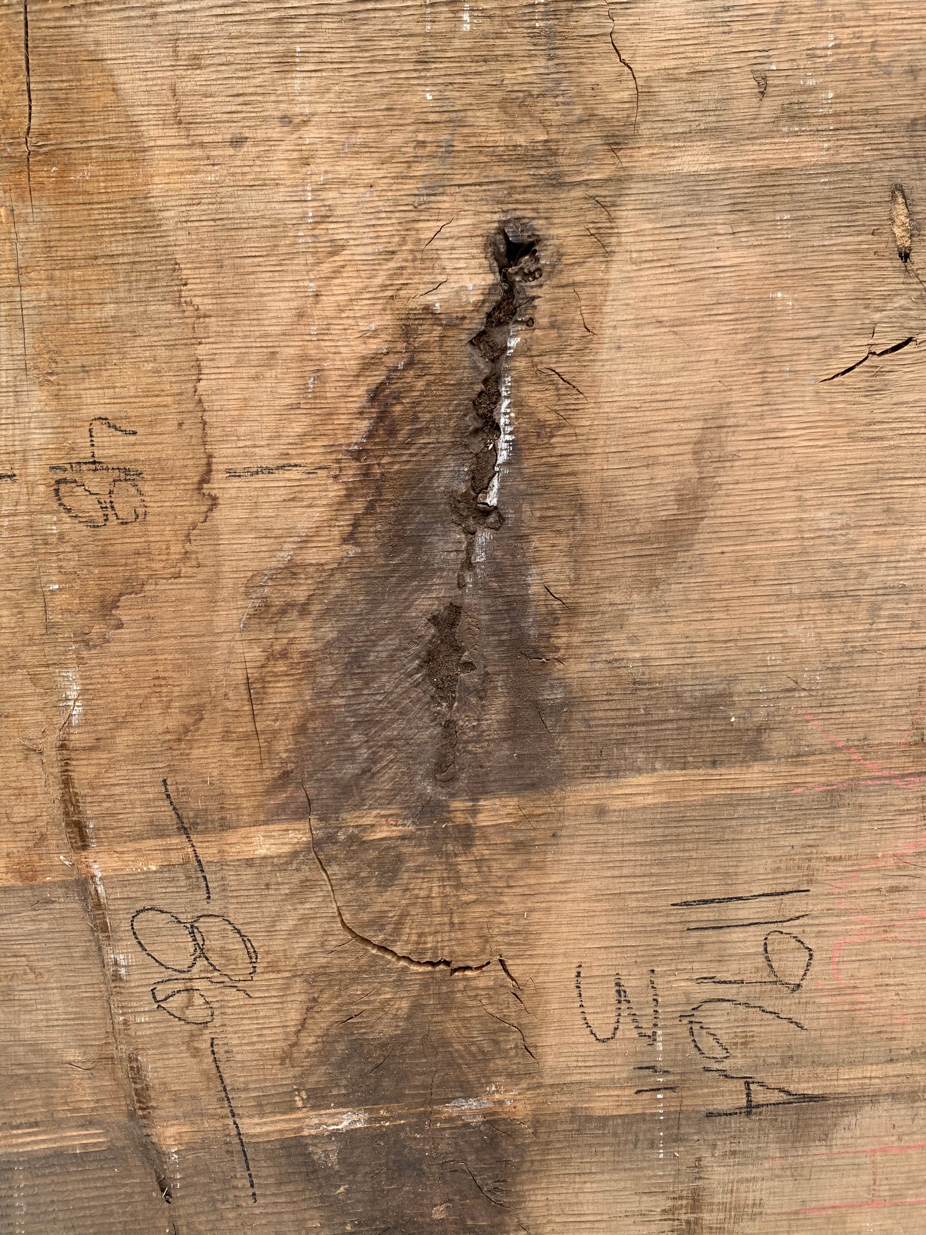 White Oak Lumber Slab Wood