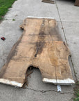 White Oak Lumber Slab Wood