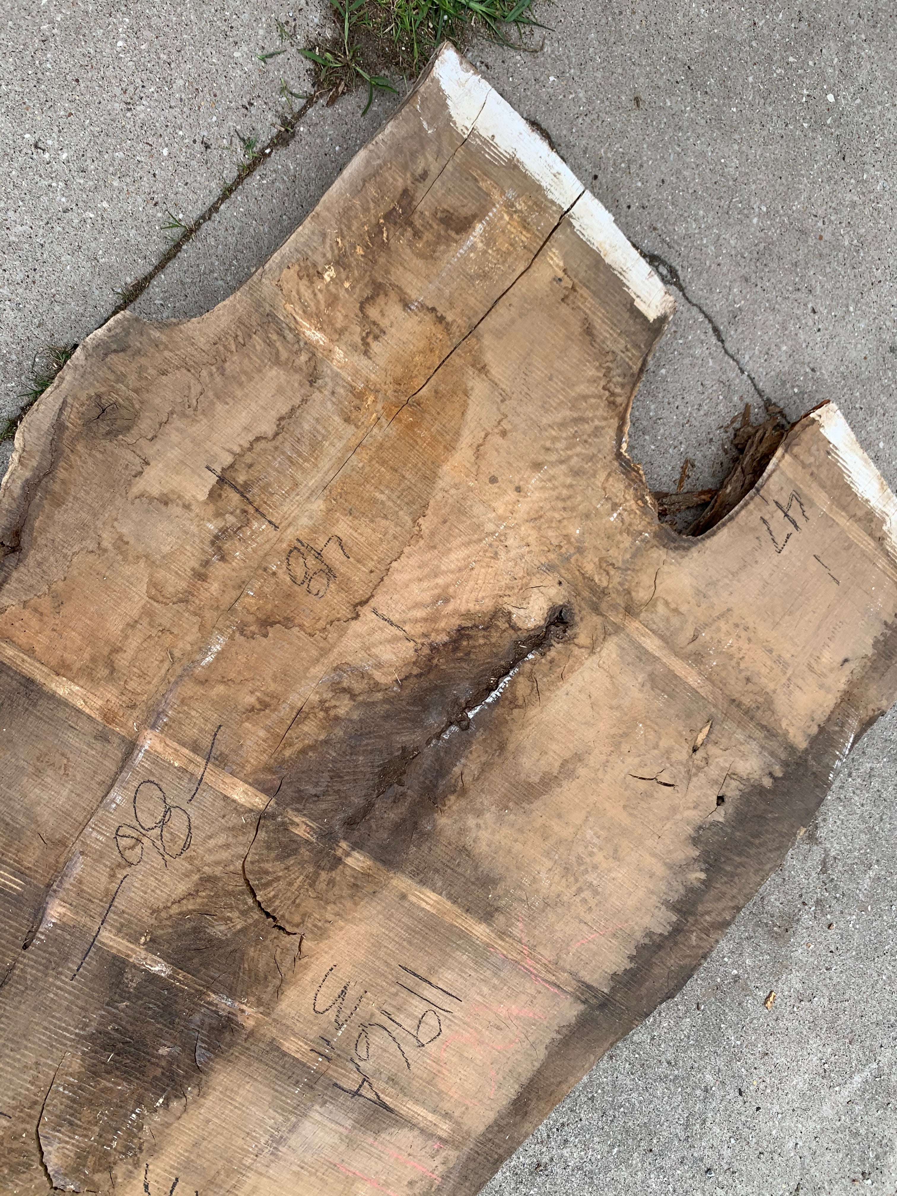 White Oak Lumber Slab Wood