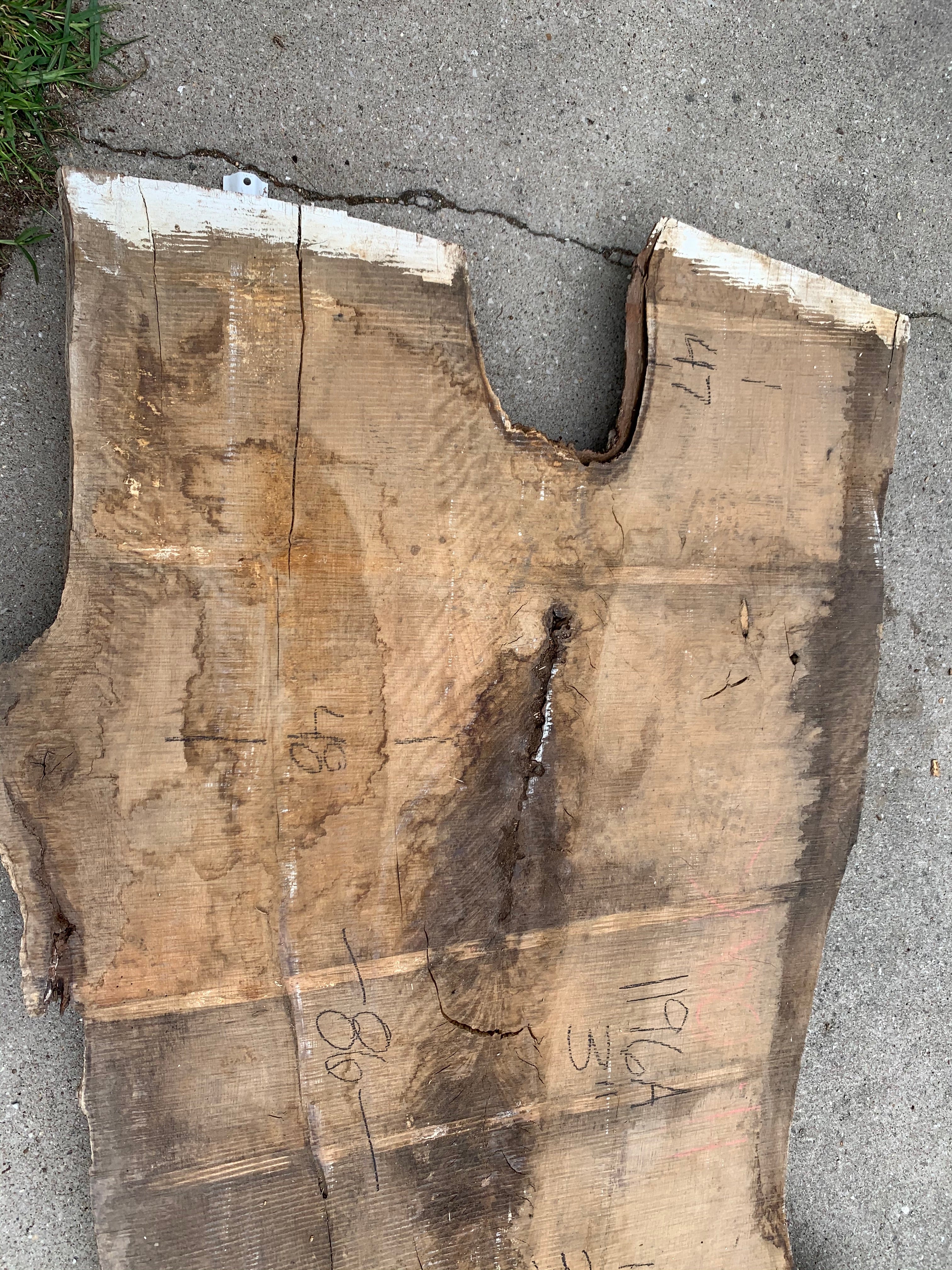 White Oak Lumber Slab Wood