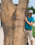 White Oak Lumber Slab Wood