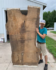 White Oak Lumber Slab Wood