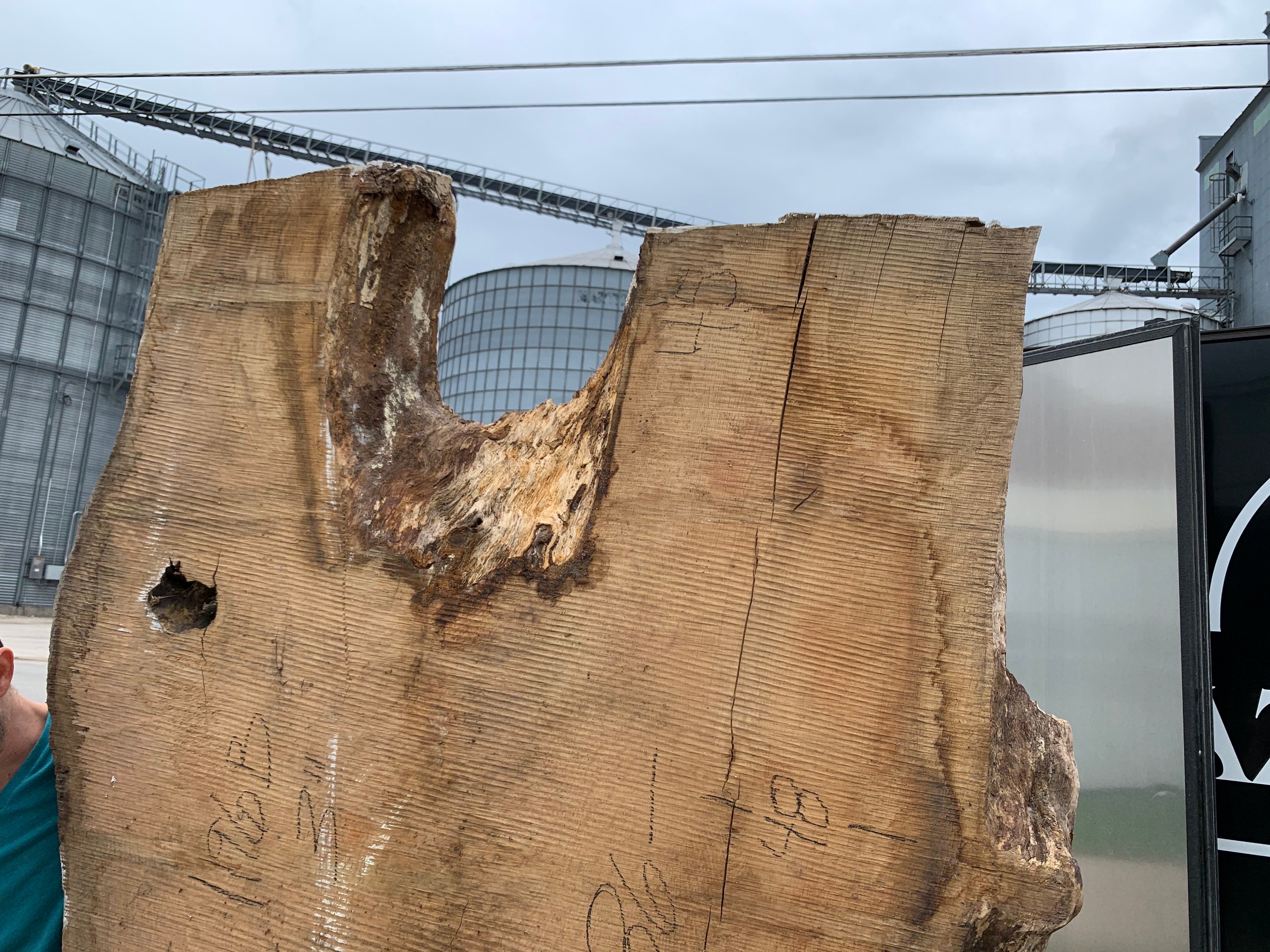 White Oak Lumber Slab Wood