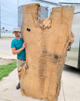 White Oak Lumber Slab Wood
