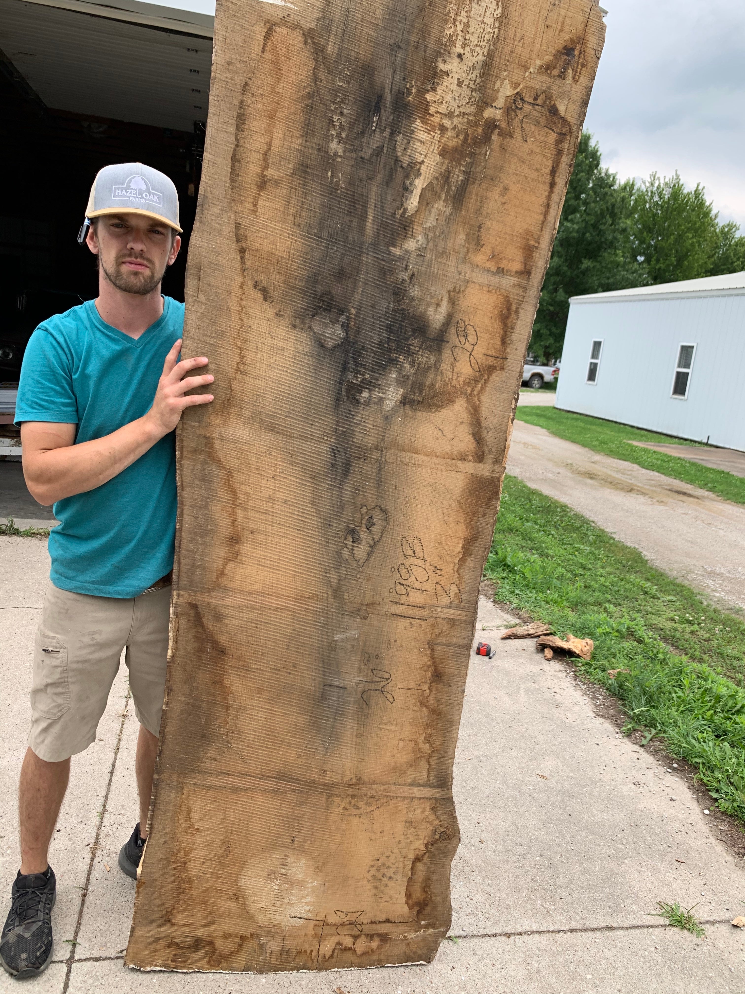 White Oak Lumber Slab Wood